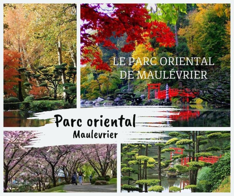 L'Eclat Travot Central Lumineux Vue Sublime Шоле Екстер'єр фото